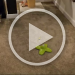 WhatsApp Video 2025-01-20 at 16.57.47_4390c395