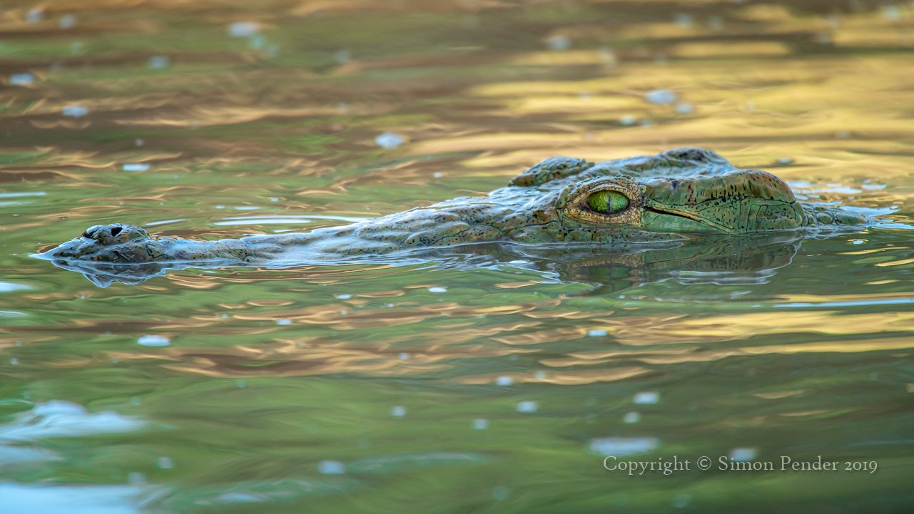 Zambia and WPY
